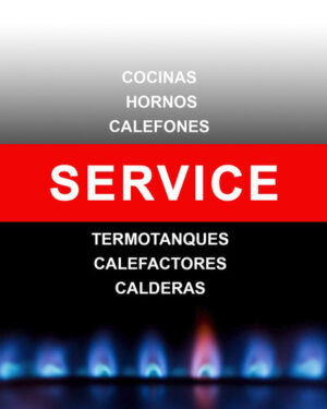caldera-Luna 3 Confort 310 Fi de 33.759 Kcal-h sku10270