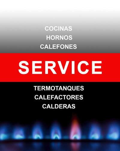 caldera-Luna 3 Confort 310 Fi de 33.759 Kcal-h sku10270